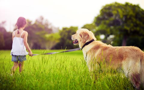 Kind und Hund Kurse in der Augsburger Hundeschule